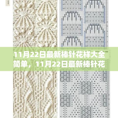 11月22日最新棒針花樣詳解，簡單編織藝術的全新魅力展現