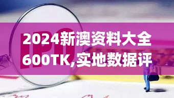 2024新澳資料大全600TK,實地數(shù)據(jù)評估分析_銳意版VBL5.18