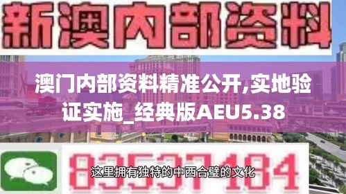 澳門內(nèi)部資料精準(zhǔn)公開,實地驗證實施_經(jīng)典版AEU5.38