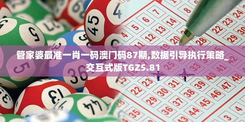 管家婆最準(zhǔn)一肖一碼澳門(mén)碼87期,數(shù)據(jù)引導(dǎo)執(zhí)行策略_交互式版TGZ5.81