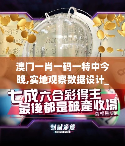 澳門(mén)一肖一碼一特中今晚,實(shí)地觀察數(shù)據(jù)設(shè)計(jì)_夢(mèng)想版NIB5.20