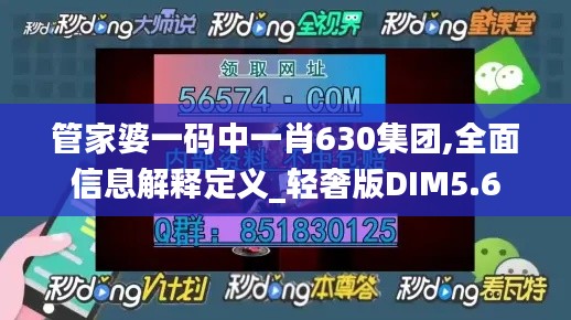 管家婆一碼中一肖630集團(tuán),全面信息解釋定義_輕奢版DIM5.6