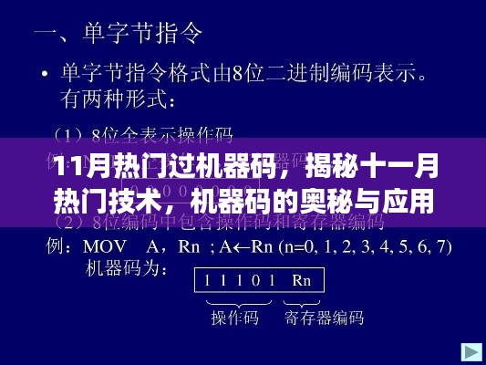揭秘十一月熱門機(jī)器碼技術(shù)，應(yīng)用與奧秘探究