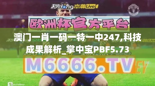 澳門(mén)一肖一碼一特一中247,科技成果解析_掌中寶PBF5.73