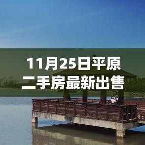揭秘最新平原二手房市場，最新出售信息詳解（11月25日）