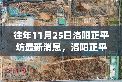 洛陽(yáng)正平坊鄰里聚會(huì)日，十一月暖陽(yáng)下的溫馨時(shí)光