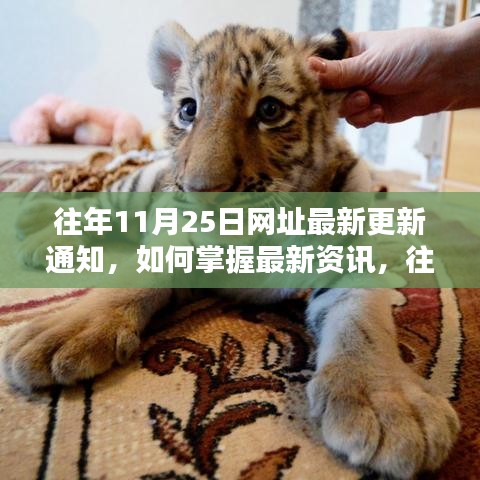 往年11月25日網(wǎng)址更新詳解，掌握最新資訊的方法與途徑解析