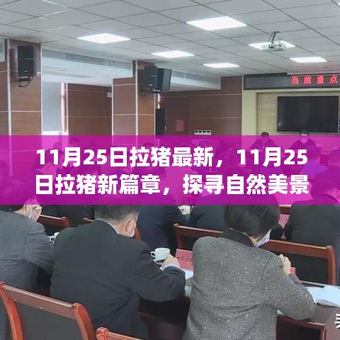 探尋自然美景之旅，11月25日拉豬新篇章，重拾內(nèi)心的寧靜與平和