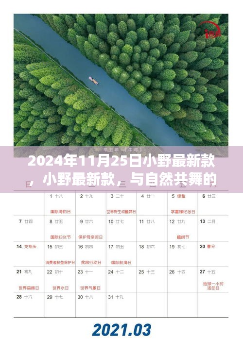 小野最新款，與自然共舞的日子啟程，尋找內心的寧靜與歡笑時光（2024年11月25日）