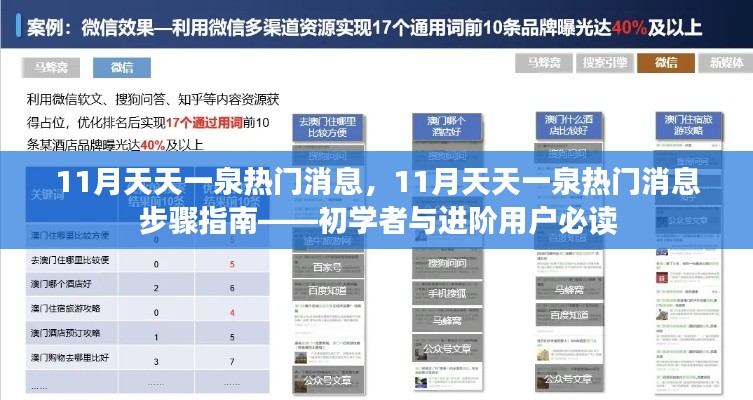 11月天天一泉熱門(mén)消息全解析，初學(xué)者與進(jìn)階用戶(hù)步驟指南