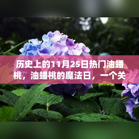 歷史上的油蟠桃魔法日，友情、愛與陪伴的溫馨故事