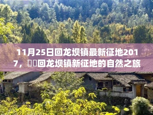 回龍壩鎮(zhèn)征地新動態(tài)，探尋內(nèi)心平靜的征途啟程于自然之旅