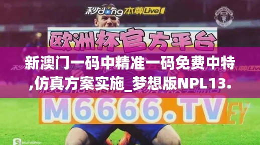新澳門一碼中精準(zhǔn)一碼免費中特,仿真方案實施_夢想版NPL13.58