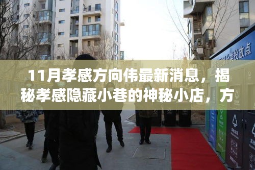 揭秘孝感隱藏小巷的神秘小店，方向偉的孝感美食之旅