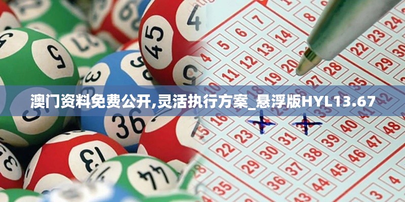 澳門(mén)資料免費(fèi)公開(kāi),靈活執(zhí)行方案_懸浮版HYL13.67
