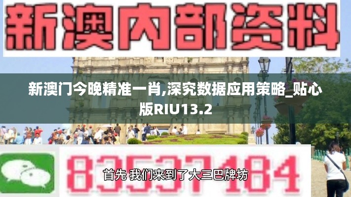 新澳門今晚精準(zhǔn)一肖,深究數(shù)據(jù)應(yīng)用策略_貼心版RIU13.2