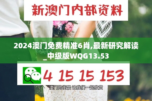 2024澳門免費(fèi)精準(zhǔn)6肖,最新研究解讀_中級(jí)版WQG13.53