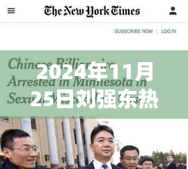 全面指南，如何撰寫關(guān)于劉強東的熱門報道（從選題到發(fā)布，適用于初學(xué)者與進階用戶，2024年11月25日熱點解析）