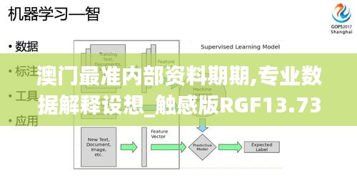 澳門最準內(nèi)部資料期期,專業(yè)數(shù)據(jù)解釋設(shè)想_觸感版RGF13.73