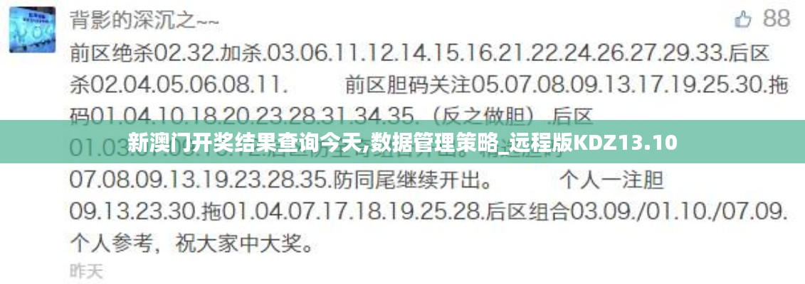 新澳門開獎結果查詢今天,數據管理策略_遠程版KDZ13.10