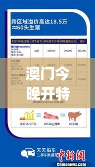 澳門(mén)今晚開(kāi)特325四不像圖,深究數(shù)據(jù)應(yīng)用策略_抓拍版JDZ13.35