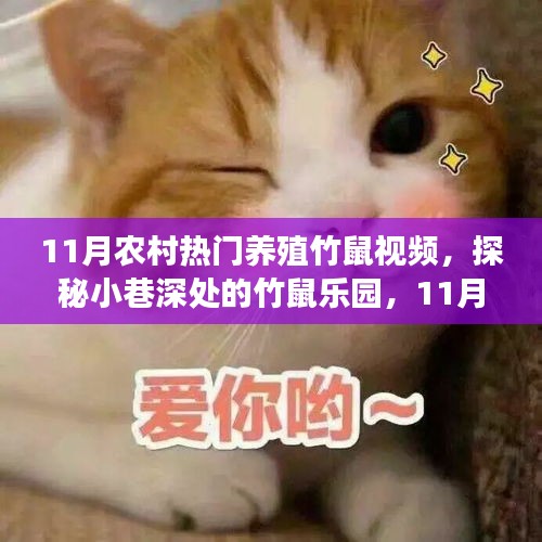 探秘農(nóng)村竹鼠樂園，揭秘熱門養(yǎng)殖竹鼠視頻背后的故事