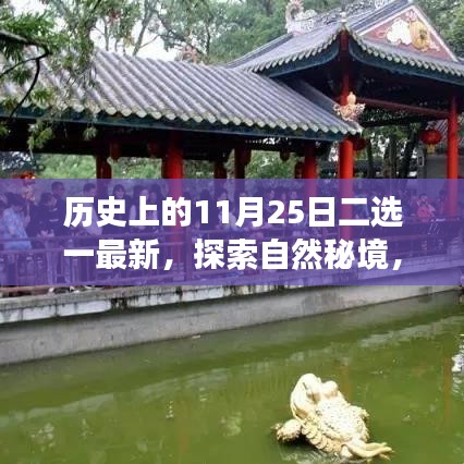 歷史上的重要日子與今日心靈探索之旅，揭秘自然秘境二選一最新動態(tài)