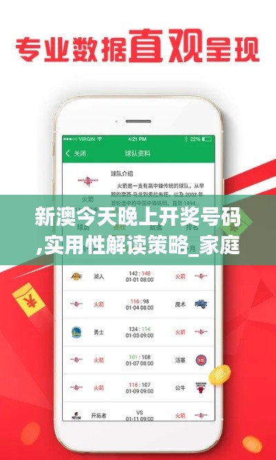 新澳今天晚上開獎(jiǎng)號碼,實(shí)用性解讀策略_家庭版SBA13.22