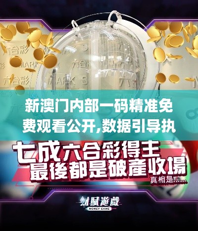 新澳門內(nèi)部一碼精準(zhǔn)免費觀看公開,數(shù)據(jù)引導(dǎo)執(zhí)行策略_極速版FMP13.35