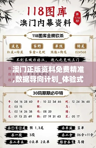 澳門正版資料免費精準(zhǔn),數(shù)據(jù)導(dǎo)向計劃_體驗式版本JPI13.47