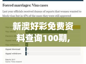 新澳好彩免費資料查詢100期,實踐調(diào)查說明_云端版HGN13.13