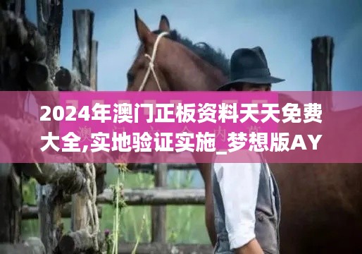 2024年澳門正板資料天天免費(fèi)大全,實(shí)地驗(yàn)證實(shí)施_夢想版AYD13.91