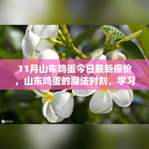 山東雞蛋最新報價，點(diǎn)亮希望之光，成就夢想之路