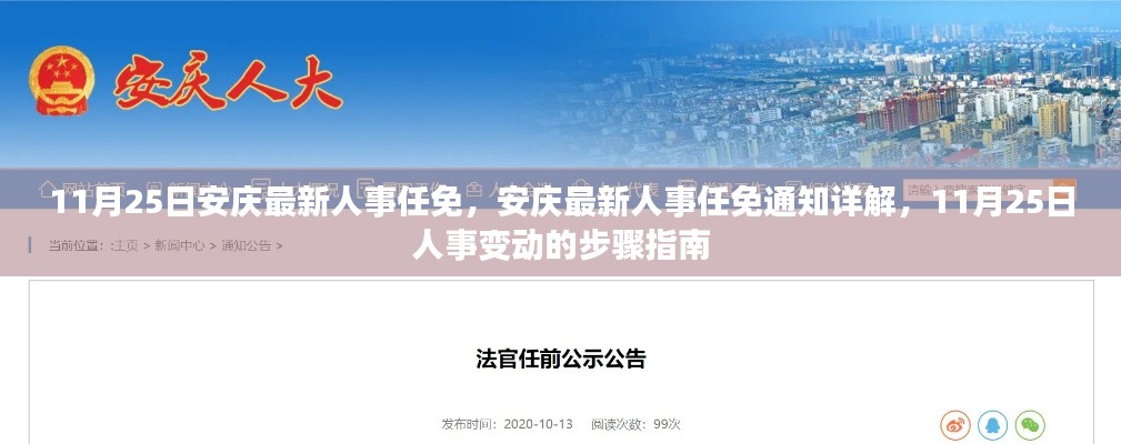 安慶人事任免最新動態(tài)，11月25日人事變動詳解與步驟指南