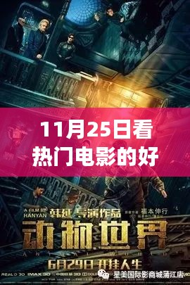 11月25日熱門電影網(wǎng)站之旅，光影中的成長與自信之源