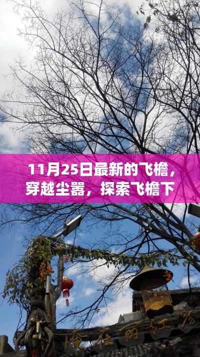 飛檐下的心靈之旅，穿越塵囂探尋自然美景的奇跡