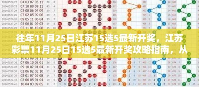江蘇彩票指南，從入門(mén)到精通——揭秘江蘇彩票11月25日最新開(kāi)獎(jiǎng)攻略與技巧