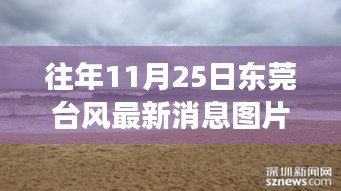 東莞臺(tái)風(fēng)最新消息與美景探索，尋找內(nèi)心平靜的旅程