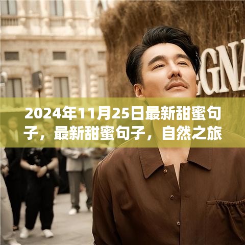 最新甜蜜句子與心靈之旅，尋找寧靜微笑的自然之旅（2024年11月25日）