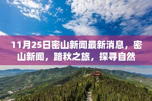 11月25日密山新聞熱點，踏秋探尋自然秘境，重拾心靈寧靜