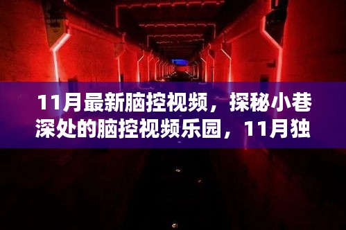 探秘小巷深處的腦控視頻樂園，獨(dú)家新體驗(yàn)揭秘腦控世界（最新腦控視頻）