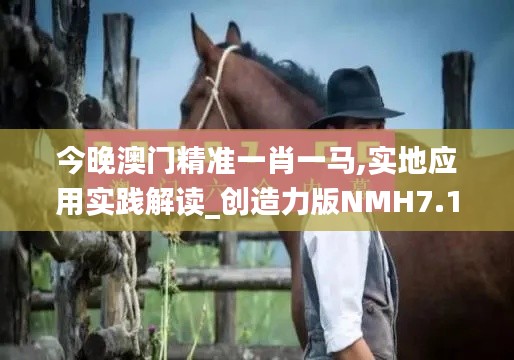 今晚澳門精準(zhǔn)一肖一馬,實(shí)地應(yīng)用實(shí)踐解讀_創(chuàng)造力版NMH7.1
