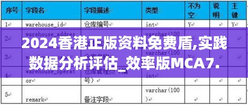 2024香港正版資料免費盾,實踐數(shù)據(jù)分析評估_效率版MCA7.49