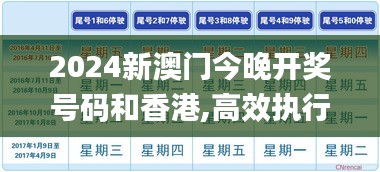 2024新澳門今晚開獎號碼和香港,高效執(zhí)行方案_鉆石版GKK7.48