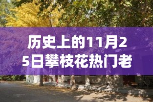 探秘攀枝花小巷傳奇老賴店，歷史與美食的雙重魅力之旅（附日期揭秘）