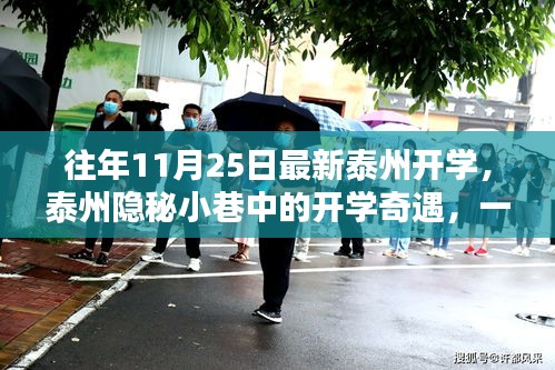 泰州特色小店開學(xué)奇遇，小巷中的非凡魅力