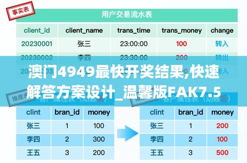 澳門(mén)4949最快開(kāi)獎(jiǎng)結(jié)果,快速解答方案設(shè)計(jì)_溫馨版FAK7.57