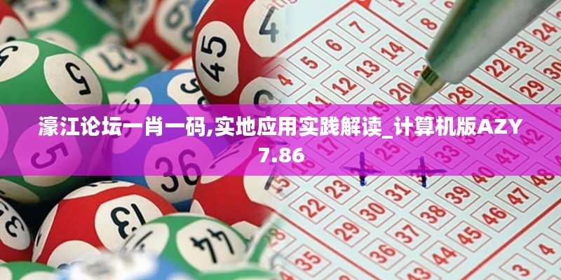 濠江論壇一肖一碼,實(shí)地應(yīng)用實(shí)踐解讀_計(jì)算機(jī)版AZY7.86