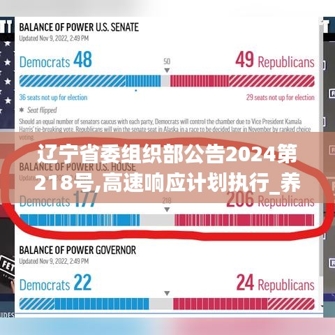 遼寧省委組織部公告2024第218號,高速響應(yīng)計劃執(zhí)行_養(yǎng)生版YQC7.93