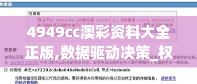 4949cc澳彩資料大全正版,數(shù)據(jù)驅(qū)動(dòng)決策_(dá)權(quán)限版YNT7.3